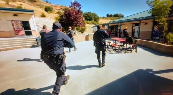 How Scotts Valley is Addressing Gun Violence