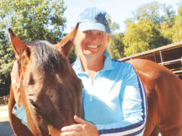 New Nonprofit Aims to Spread Joy Through Horsemanship Horse Sense Education and Advocacy