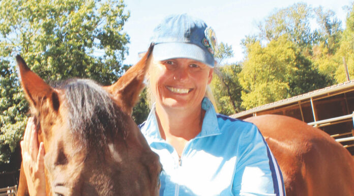 New Nonprofit Aims to Spread Joy Through Horsemanship Horse Sense Education and Advocacy