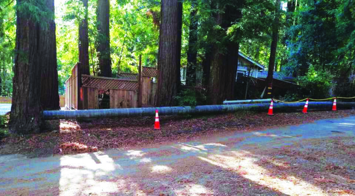SLV Residents Face Another Power Struggle With PG&E Enhanced Powerline Safety Settings