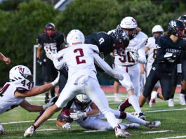 Falcons soar past Cardinals in season opener | High school football