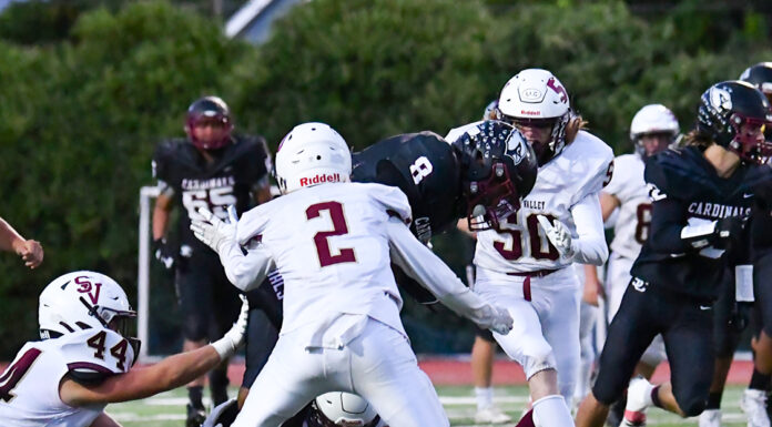 Falcons soar past Cardinals in season opener | High school football