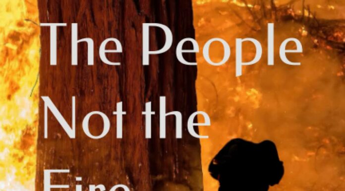 Author Wants CZU Book to Provide ‘Hope And Healing’ The People Not the Fire