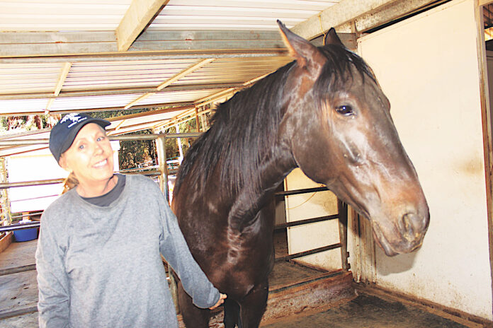 Canham Farm Horse Rescue and Rehabilitation Center