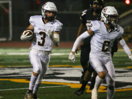Falcons run wild in crushing win over ‘Catz | High school footballÂ