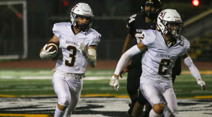 Falcons run wild in crushing win over ‘Catz | High school footballÂ