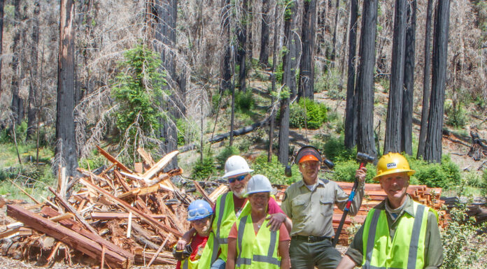 Torched Trees Given New Life as Fencing For Landmark