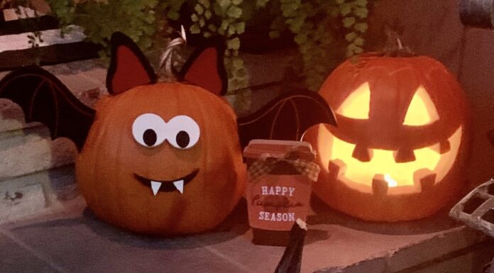 Halloween Ideas from the Garden