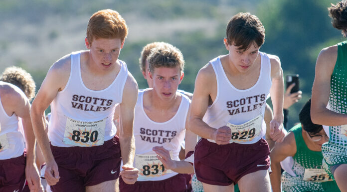 Falcons repeat as D-IV champions | CCS boys cross country