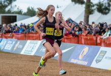 Image for display with article titled Falcons soar to new heights at state cross country finals