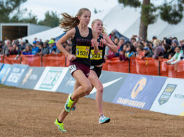 Falcons soar to new heights at state cross country finals
