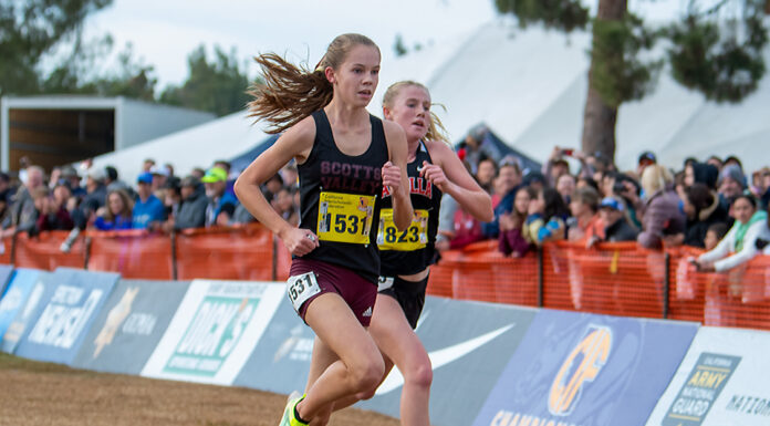 Falcons soar to new heights at state cross country finals
