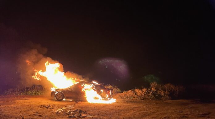 One Found Dead in Burning Car Along Pacific Coast Highway