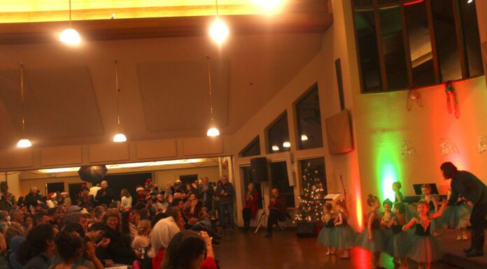 Light Up the Night a heartwarming showcase of community talent tutu school