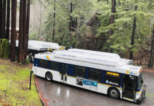 Image for display with article titled YMCA Camp Campbell Evacuated to Scotts Valley