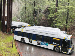 YMCA Camp Campbell evacuated to Scotts Valley
