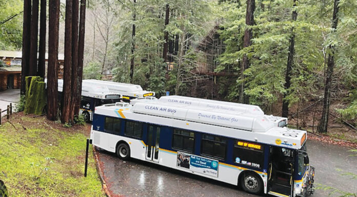 YMCA Camp Campbell evacuated to Scotts Valley