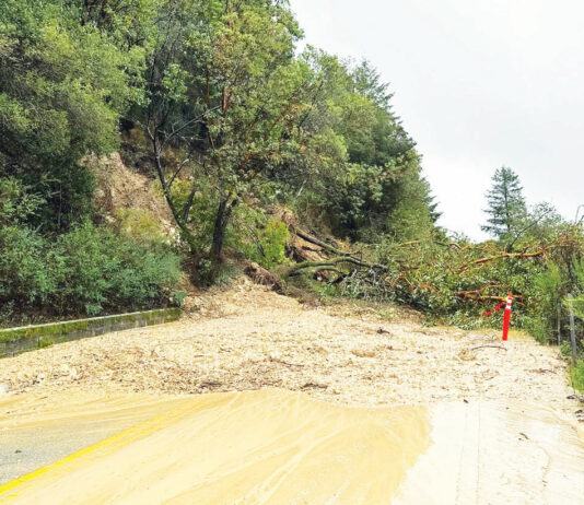 Another mudslide hits Green Hills Road