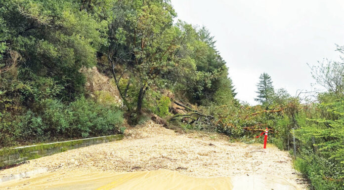Another mudslide hits Green Hills Road