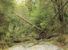 Bonny Doon Residents Cope With Storm Damage