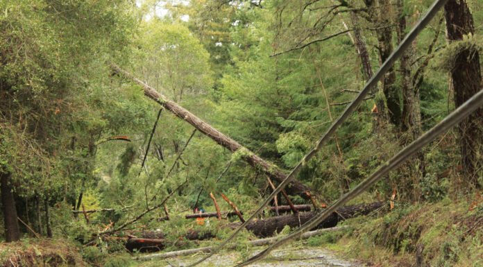 Bonny Doon Residents Cope With Storm Damage