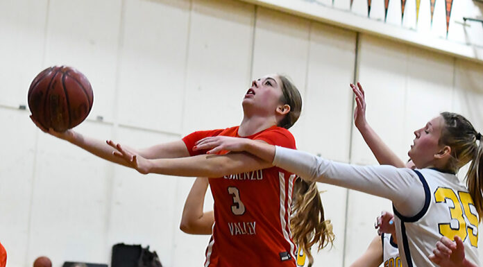 Cougars slowly getting back to full speed | Girls basketball