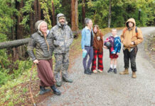 Image for display with article titled Harmon Gulch Residents Still Struggling to Find Solutions