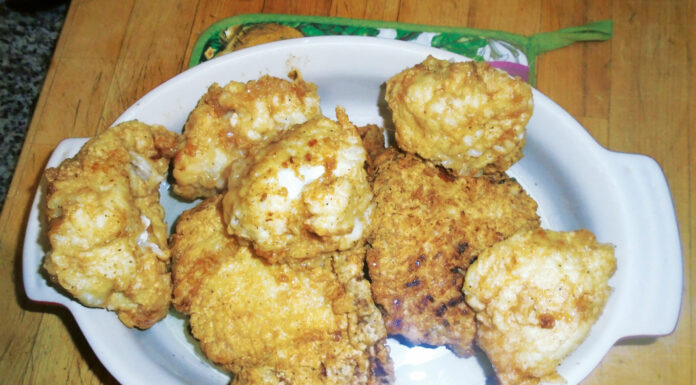 Plain Talk About Food | My Friend, Snag