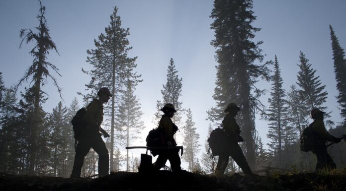 Volunteer firefighter trainee dies during exercise firefighters
