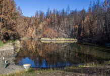 Image for display with article titled Big Basin Water Company moves toward receivership