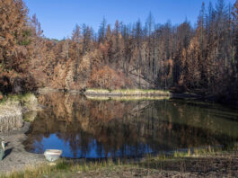 Big Basin Water Company moves toward receivership
