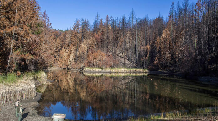 Big Basin Water Company moves toward receivership