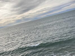 Are You Ready for More Rain? Monterey Bay