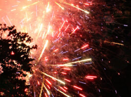 Scotts Valley Council votes down 4th of July fireworks