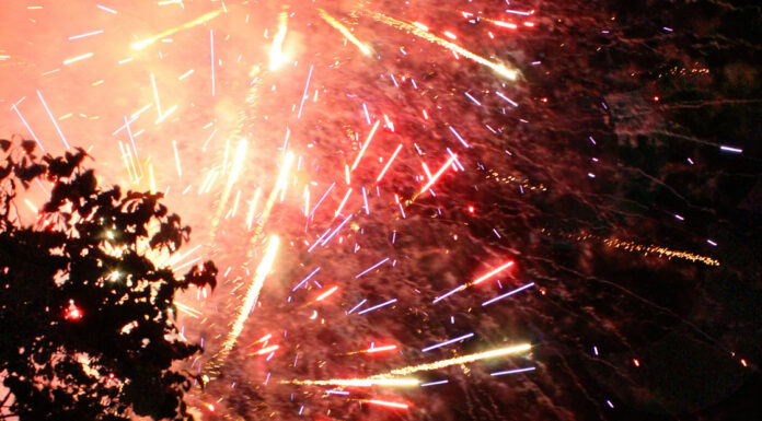 Scotts Valley Council votes down 4th of July fireworks