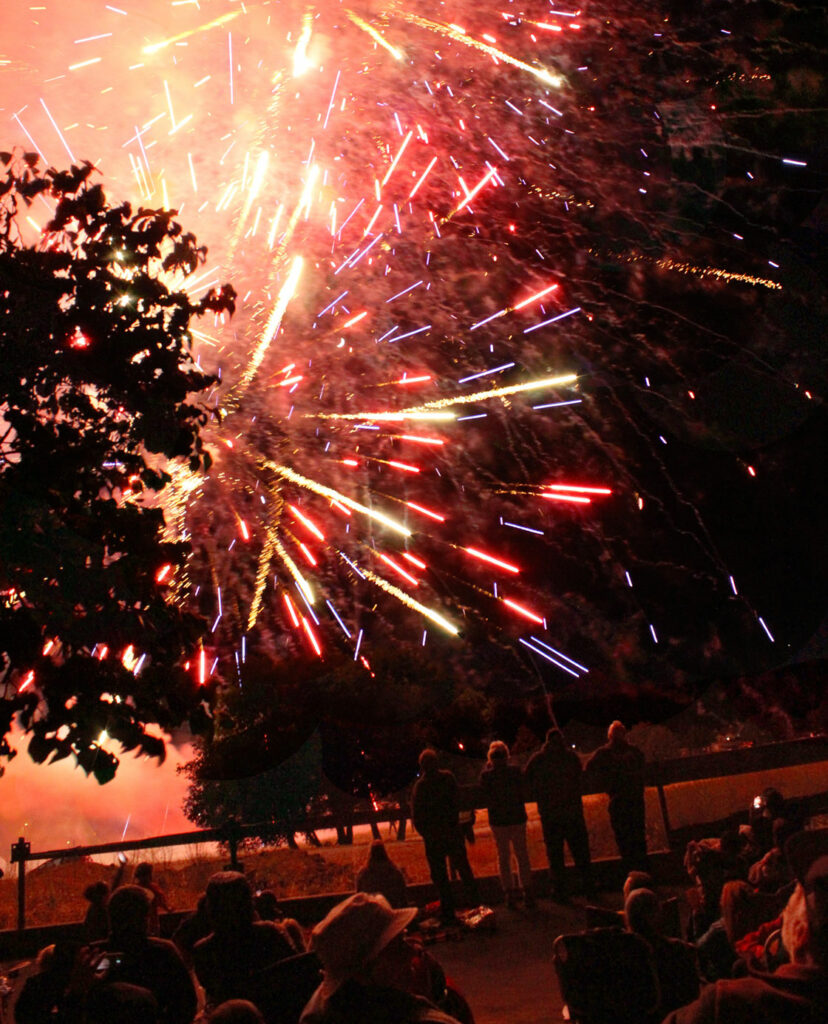 Scotts Valley Council votes down 4th of July fireworks Press Banner