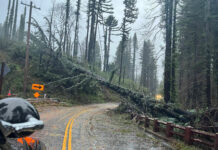 Image for display with article titled Cleanup Ongoing After Storm Hits Santa Cruz Mountains