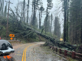 Cleanup ongoing after storm hits Santa Cruz Mountains