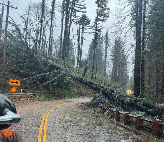Cleanup ongoing after storm hits Santa Cruz Mountains