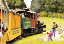 Image for display with article titled Roaring Camp still chugging along at 60