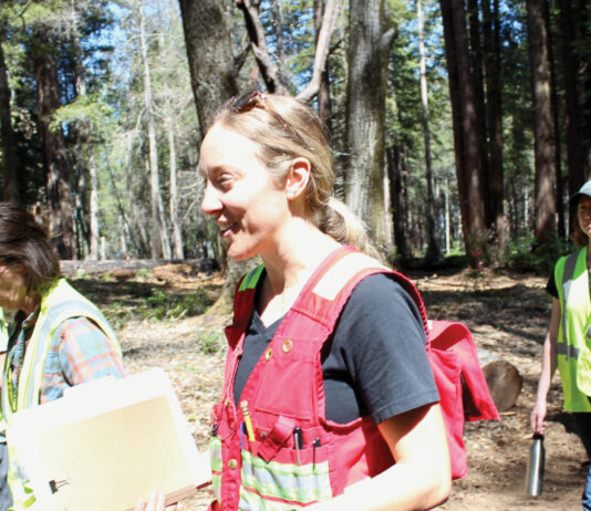 Felton a testing ground for new wildfire prevention philosophy