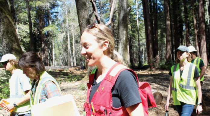 Felton a testing ground for new wildfire prevention philosophy