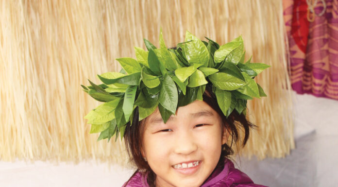 Community turns out for Scotts Valley Multicultural Fair