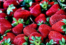 Image for display with article titled Scotts Valley Farmers’ Market opens Saturday