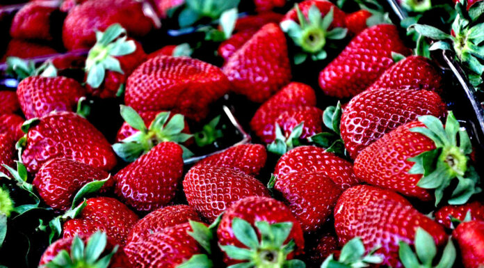 Scotts Valley Farmers’ Market opens Saturday