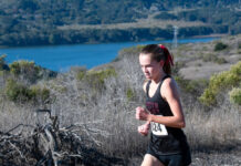 Image for display with article titled Falcons gear up for league track and field finals