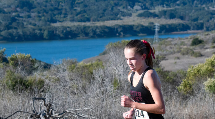 Falcons gear up for league track and field finals