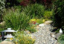 Image for display with article titled The Mountain Gardener | Adding a Dry Creek Bed to Landscape