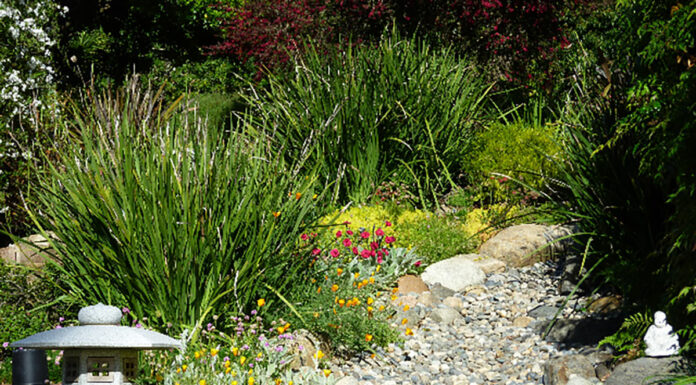 The Mountain Gardener | Adding a Dry Creek Bed to Landscape