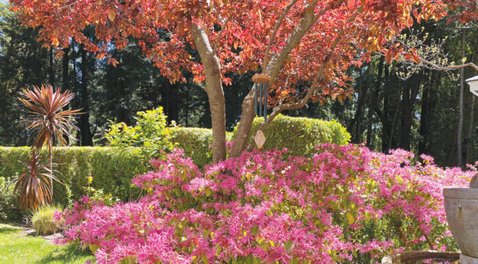 The Mountain Gardener | Gardening in the Real World